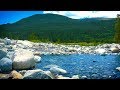 Mountain River Water Sounds | Sleep, Study, Focus, Relax to Nature White Noise | 10 Hours