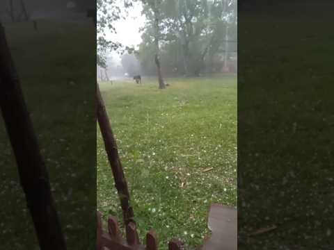 Nueva alborada, Itapua - Paraguay 🇵🇾 #clima #cambioclimático #granizo #lluvia #paraguay #tormenta