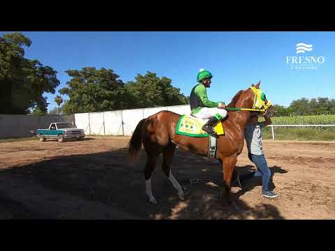 Fresno Hipódromo - El Tetra vs El Menor - 29 de mayo de 2021
