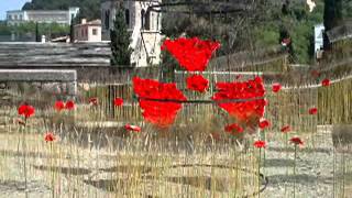 Girona temps de flors-Lou Reed, Satellite of love, Temporary thing