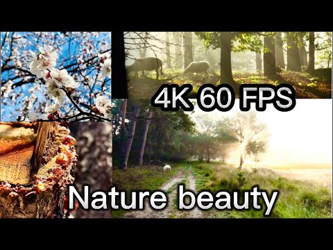 Bahar aa Gai 🌳 Feel the Nature😍| 4K Video | Tauseef world #vlog