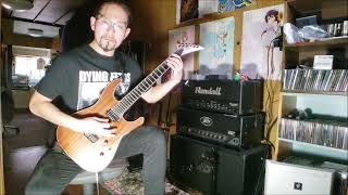 Dying Fetus - Homicidal Retribution (guitar cover)