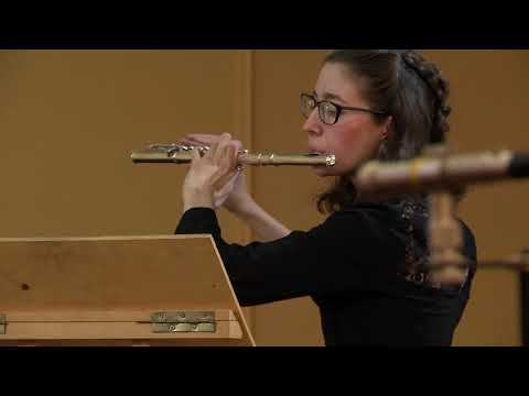 Vasilisa Gorochnaya. Soirée (Paris Dans les Peintures). Performed by: Cadenza Perfecta.