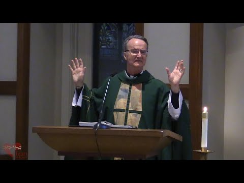 Video Homily - Lessons from the School of Suffering (Luke 21:12-19)