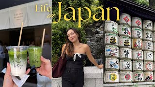 LIVING IN JAPAN | grocery shopping, cooking at home, Tokyo apartment