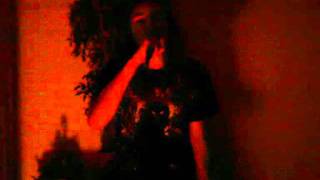 Eisregen- herzblut (Cover)