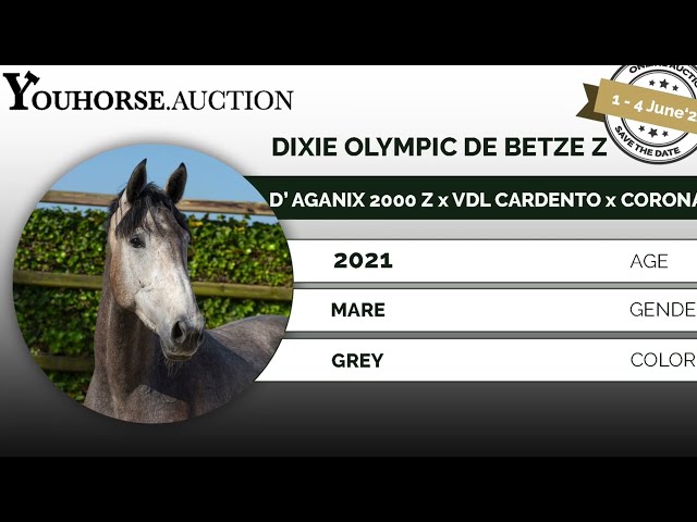 Dixie Olympic de Betze