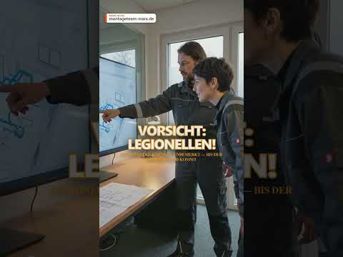 Wiedergabe