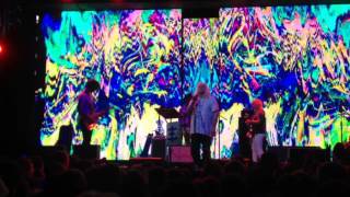 Psychic TV - I'm Looking For You (live) - Moscow, RED club (28.10.2016)