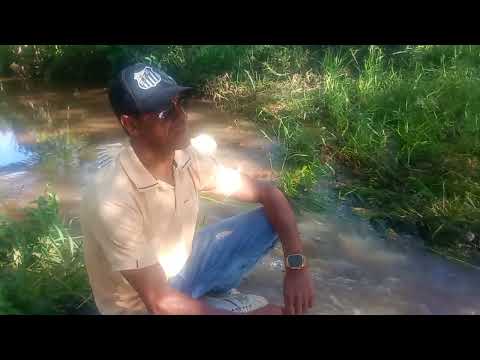 Rio do Brejo próximo a Dioniza - Mirangaba - BA.