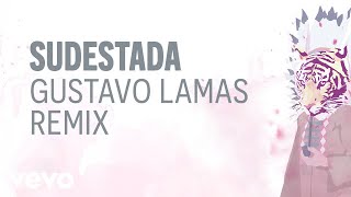 Gustavo Cerati - Sudestada (Gustavo Lamas Remix) (Pseudo Video)