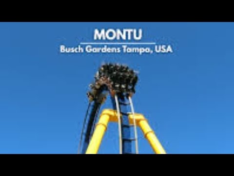 Montu short video by 🏹 Bow & Arrow 🏹 