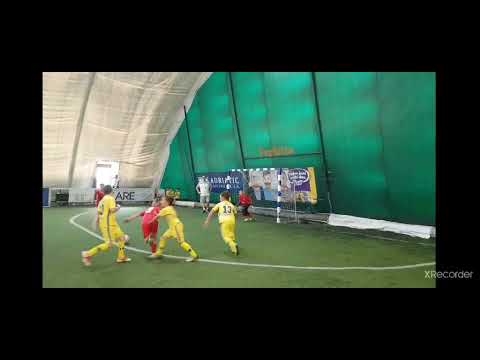 DANIS HODŽIĆ  FK DOBRINJA