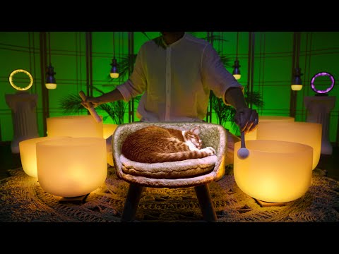 **SLEEP LIKE A KITTEN**  Sound Bath for Bedtime | Crystal Singing Bowls