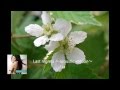 Lia - Last regrets ～acoustic version～ 