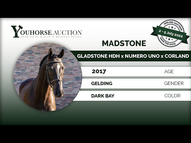 Madstone @ the show