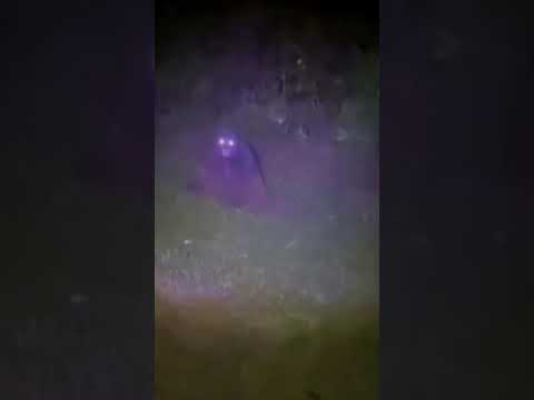 AQMxzxnZVlcRXR6qzGKOMU5A0pD9aRdO fbzUIlCxmu5C0ZEDJctBPraMI7LauC7FAzysFKJjKtIVZRbNBwAcpxX