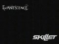 Bring Me in the Dark: Skillet and Evanescence ...
