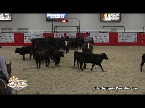 Brother Jackson ridden by Zane P. Davis  - 2019 NRCHA Stallion Stakes (Herd Work, Open Bridle Spec.)