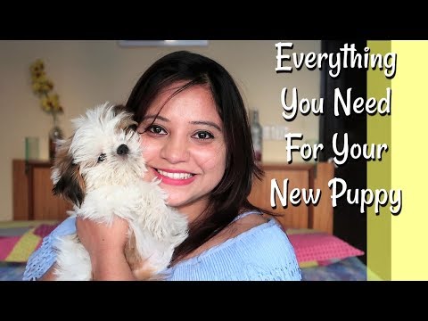 Everything You Need to be Prepared for Your New Puppy | Everything You Need For Your New Puppy