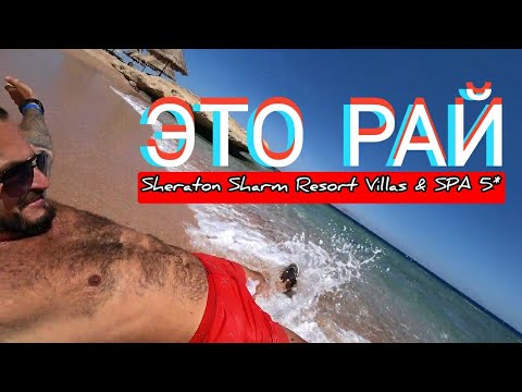 Египет ????????Sheraton Sharm Resort Villas & SPA 5* Заход в море подводный мир/Питание в отеле Анимация