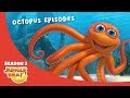 Outstanding Octopus JB S3 Animal Compilation 2