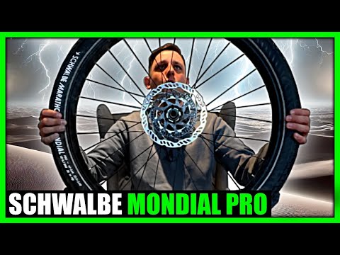 Fazit Schwalbe Marathon Mondial Pro nach 2500km