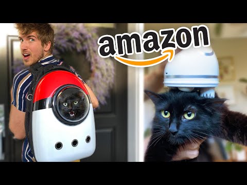 Testing the Weirdest Amazon Cat Products