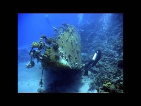 Tauchen in den Fury-Shoals, Lahami-Bay