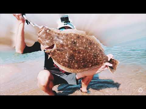 2023 Fluke Fishing! Mission and Gear