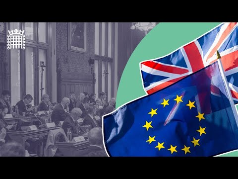 🔴 LIVE: 6th UK-EU Parliamentary Partnership Assembly Plenary Session - Monday 17th November 2025