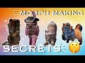 4 Secret Tips that Exp Morph Maker’s don’t Share 🤫 | EXP Advice | Valkyrie Studios