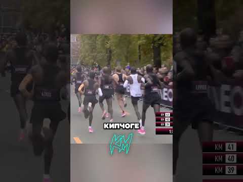 Как догнать мировой рекорд в марафоне #факты