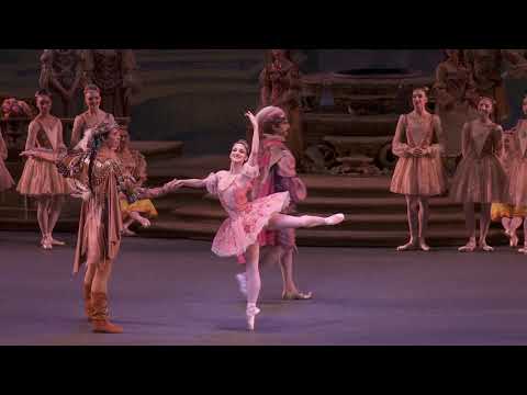 NYCB Sleeping Beauty Rose Adagio