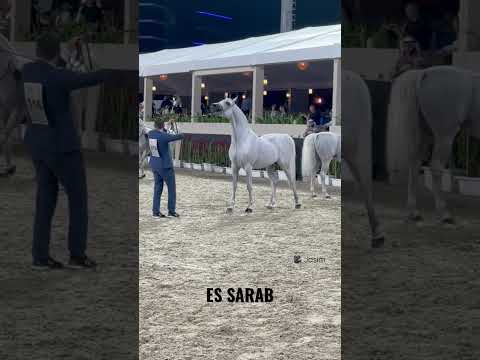 ES SARAB in Abu Dhabi International show 2023