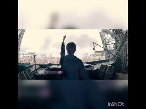 Tokyo drift - Liu @ lollapalooza