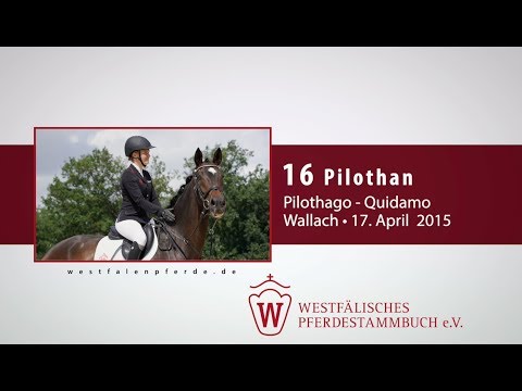 16 Pilothan  Wallach v. Pilothago - Quidamo