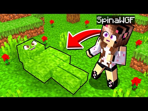 NASCONDINO COME OGGETTI IMPOSSIBILI SU MINECRAFT!!