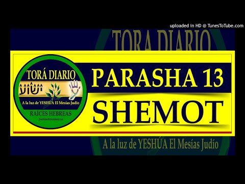 Parasha 13 Shemot, 4 aliyá