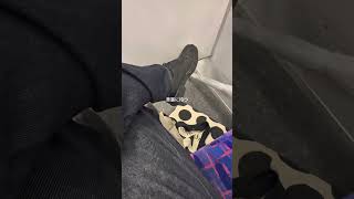 たまには真面目なことする大学生の平日 #vlog #大学生 #ルーティン #日常vlog