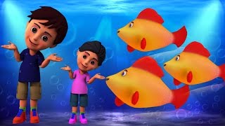 Machli Jal Ki Rani Hai | Hindi Rhymes | मछली जल की