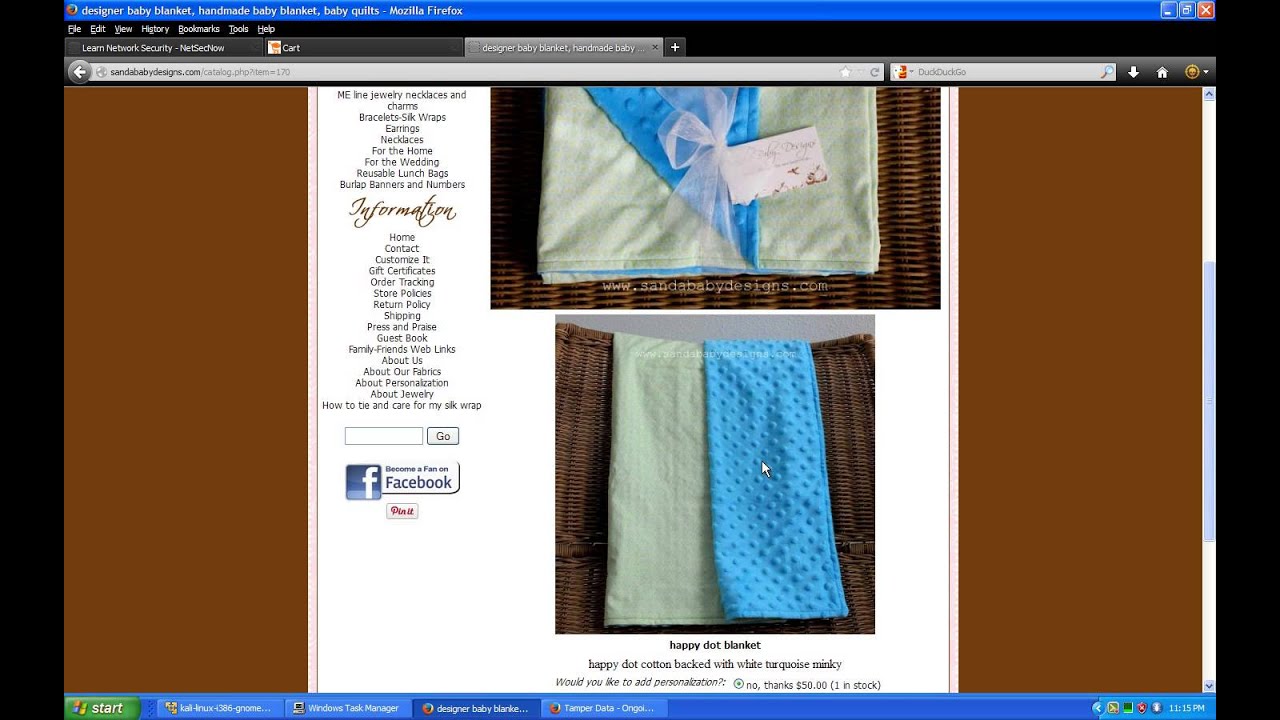 Web Site Hacking - Input Validation Attacks