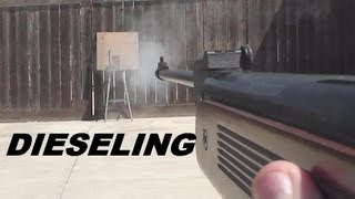 Pellet Rifle DIESELING  -   Good  Bad or Ugly?
