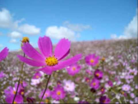 OUÇO DEUS -  Vansan