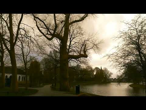 DE ZINGENDE BOMEN VAN DE PRINSENTUIN