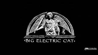 Big Electric Cat - Paris Skyes (Remix)