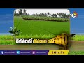 రబీ వరిలో పోషకాల యాజమాన్యం | Rabi Rice Crop Cultivation Methods | Matti Manishi | 10TV News - Video