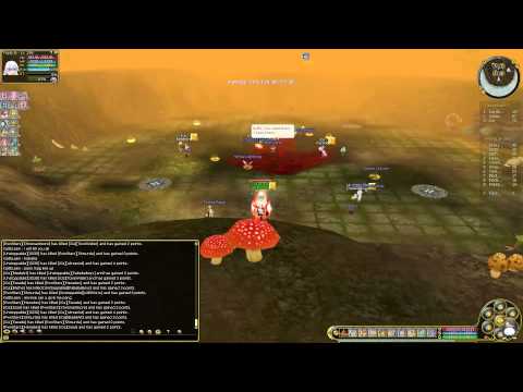 Insanity Flyff Siege (Part 1)