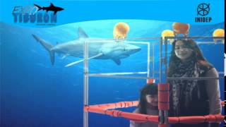 DIA 2 Expo Tiburon199