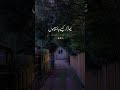 Deep Line Whatsapp Status Alone Status Urdu Shayari Dani Poetry Shorts Viral Poetry